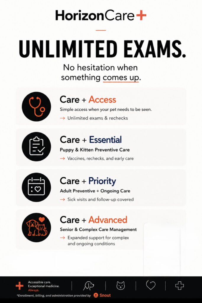 HorizonCare+ Marketing - 1