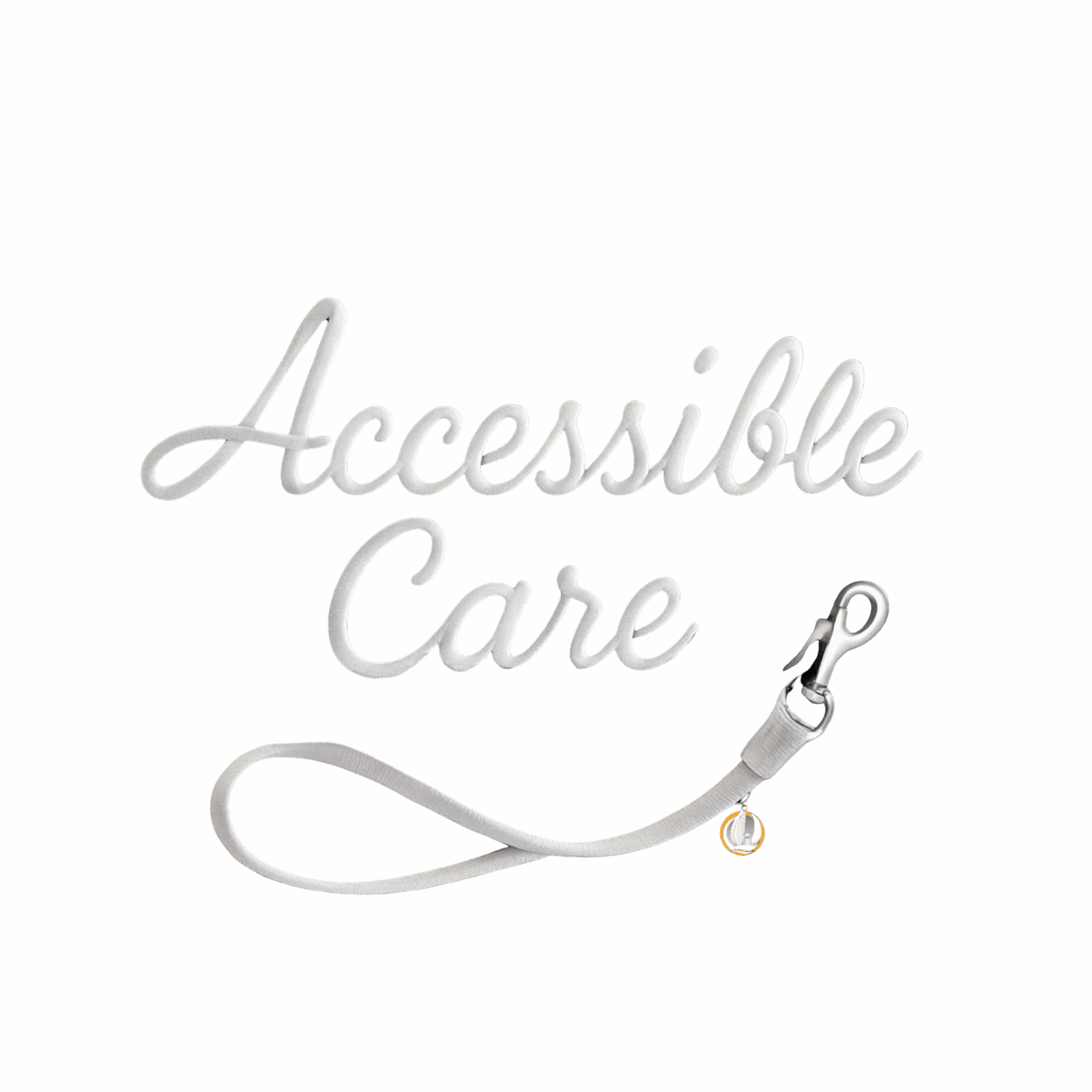 Accessible Care Graphic (no background)
